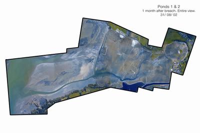 Fletcher Construction Co Ltd: 2000 Auckland - Project Manukau Mangere Wastewater Treatment Plant - (aerial view)