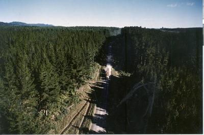 Tasman Forestry Ltd: 1981 Aerial view of a moving truck (loaded)